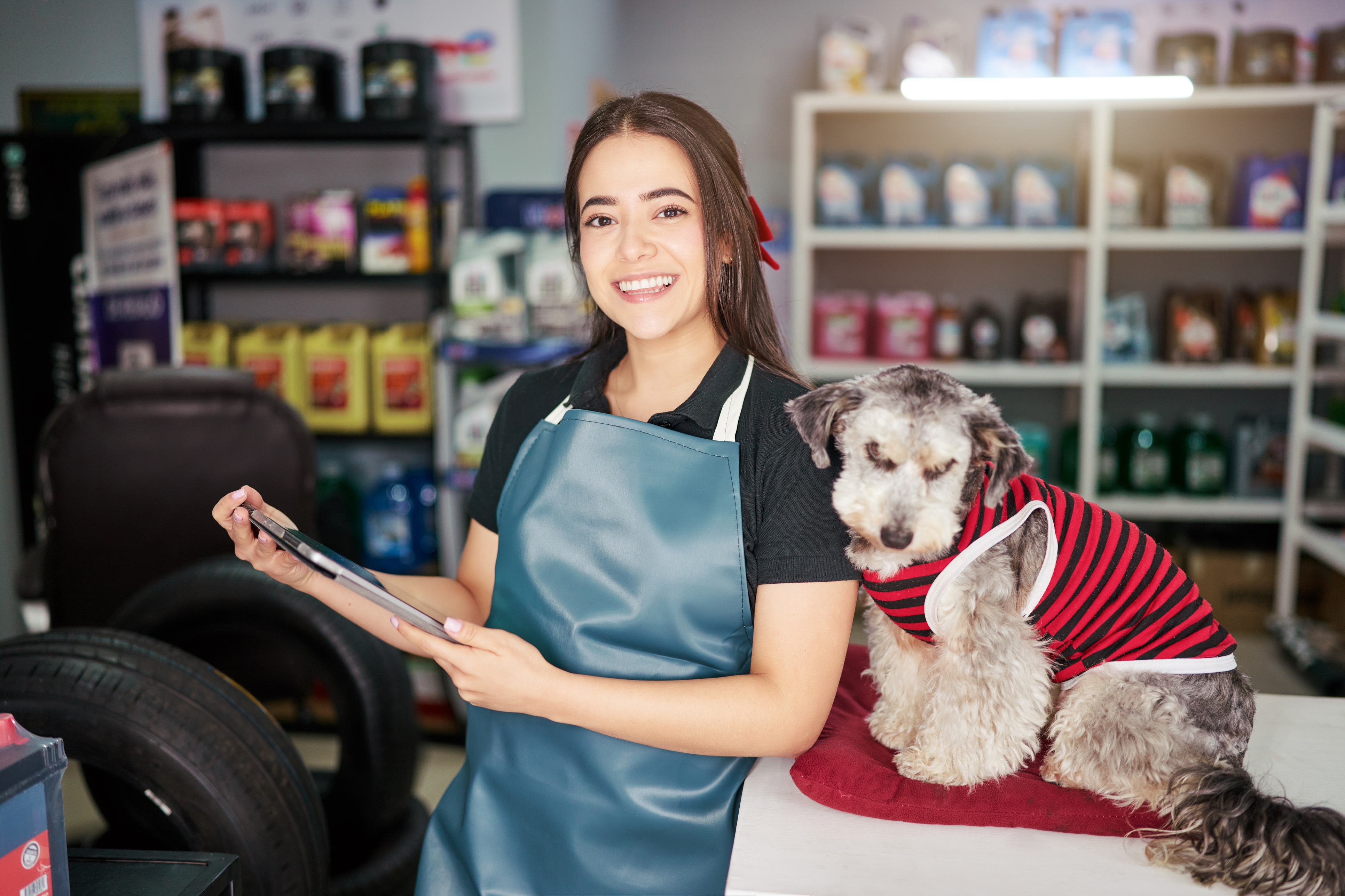 Pet groomer managing membership program with dog on counter